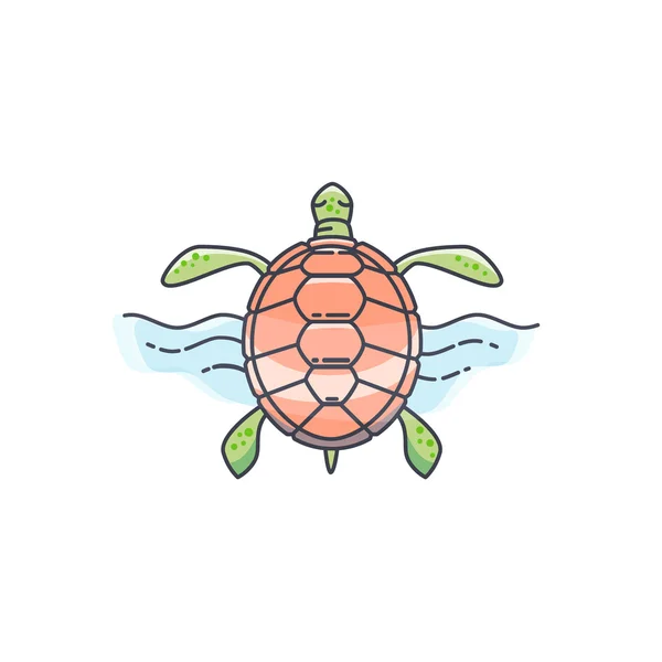 Tortuga vector ilustración — Archivo Imágenes Vectoriales