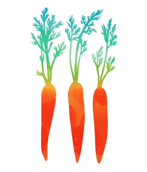 Vector carrots isolated on white background — Stock Vector