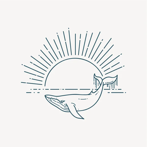 Modern vlakke lineaire vectorillustratie met walvis en zonsopgang — Stockvector