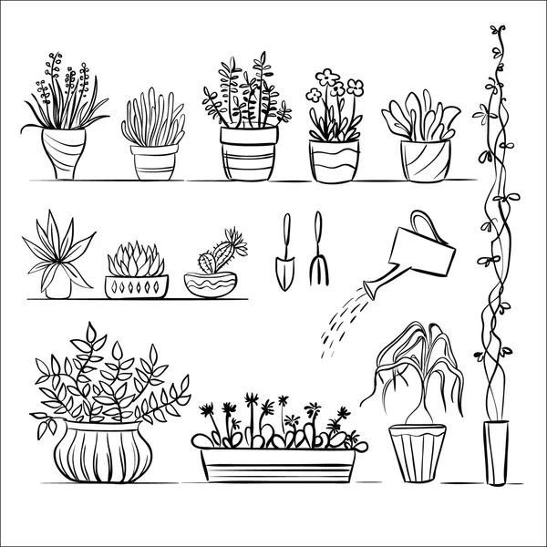 Plantas de maceta y boceto de herramientas — Vector de stock