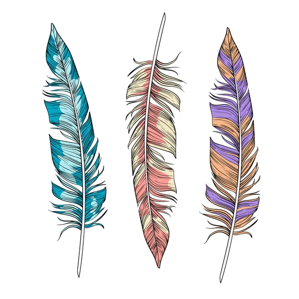 Vector set of bright  feathers — Stock Vector