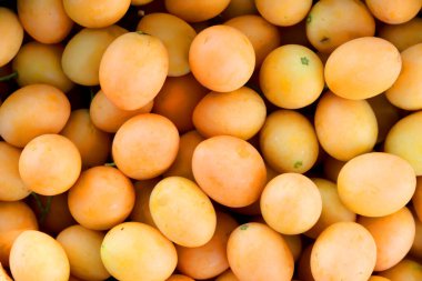 Olgun Marian eriği, Maprang veya Mayongchid denilen Tayland meyvesi, sarı-turuncu arka plan olarak kullanılabilir..