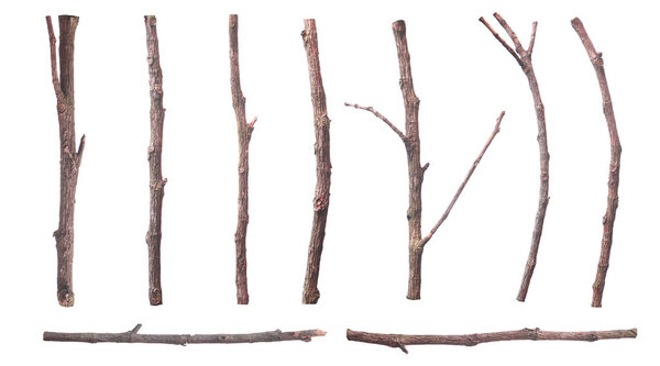 set of dead dry twigs shaped brown bark Isolated on white background