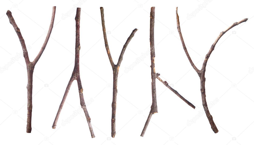 Set of dead dry tree branches, bark brown Y shape, isolated on a white background.