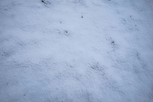 Земля Покрыта Белым Снегом — стоковое фото