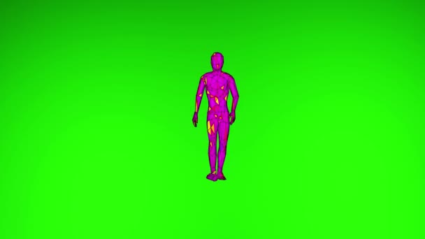 Animación Personaje Caminando Hacia Cámara Sobre Fondo Verde — Vídeos de Stock