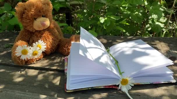 Notebook com marcador de camomila no fundo de um ursinho de pelúcia listras de luz caindo vento vira as páginas — Vídeo de Stock