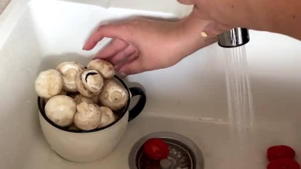 A gombát a mosogatóban mossák. — Stock videók