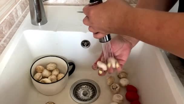 I funghi sono lavati nel lavandino — Video Stock