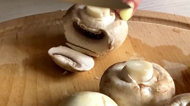 Mains montrer champignons coupés — Video