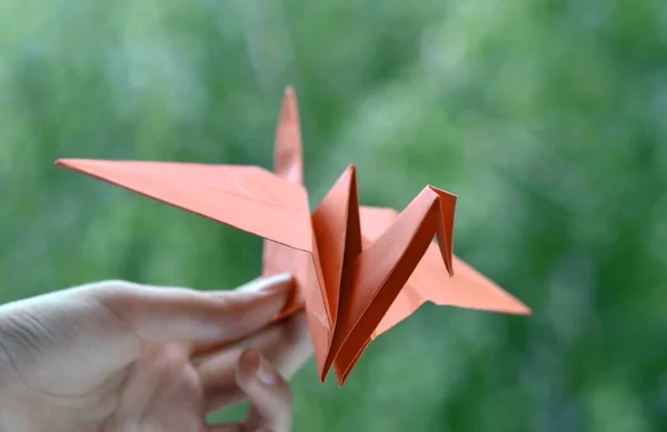 Yeşil Arka Planda Origami Kırmızı Kağıt Vinç Kağıt Bir Vinç — Stok fotoğraf