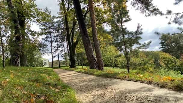 Ett gult lönnlöv faller långsamt till marken i en höstpark mot bakgrund av en gränd i Tarkhany egendom Penza regionen Ryssland slow motion — Stockvideo