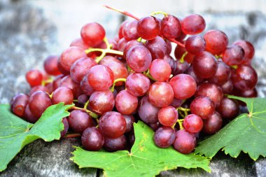 koyu mavi üzüm demet