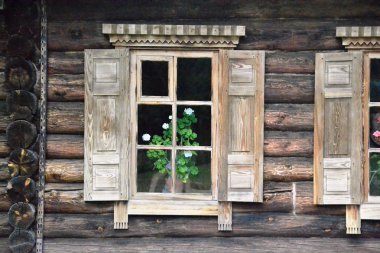 Pencere açık ahşap kepenkleri pencere üzerinde bir çiçek Sardunya ile ahşap bir evde. Tarkhany. Rusya. Kamu malı. Augustus. 19. yüzyıl