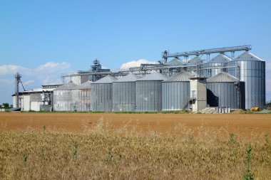 Silo silolar Fabrika bitki