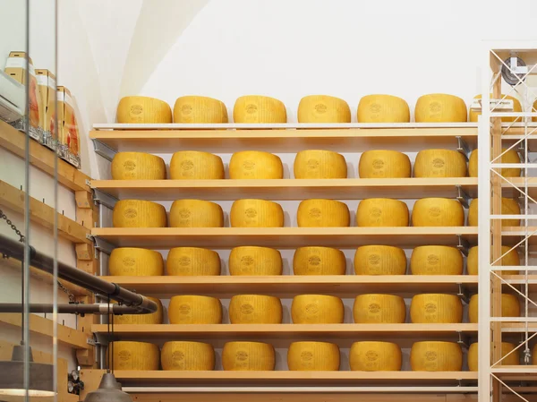 Сыр Пармезан на колесах — стоковое фото