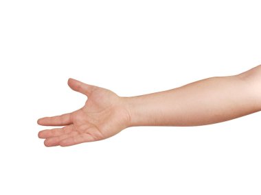 İnsan eli ve kolu beyaza izole edilmiş. Vücut dili. Bir şey istemek ya da bir şey almaya hazır olmak için jest.