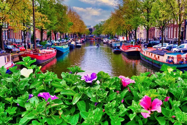 Hollanda Amsterdam Kanal — Stok fotoğraf