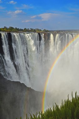 Victoria Şelaleleri ve rainbow su sprey kurdu. Zambezi Nehri Zimbabve Afrika