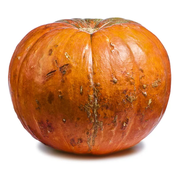 Calabaza entera —  Fotos de Stock