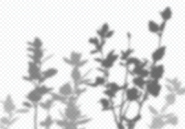 Векторная прозрачная тень ветвей деревьев с листьями. Элемент декоративного дизайна для презентаций и макетов. Эффект креативного наложения — стоковый вектор