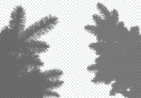 Vektor Schatten Des Weihnachtsbaums Gestaltungselement Für Collage Und Mock Dekorativer — Stockvektor