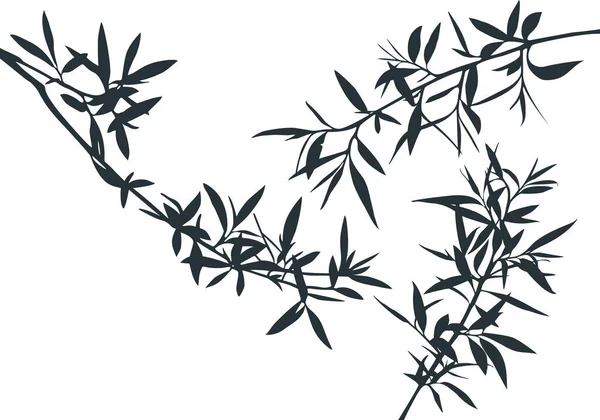 オリーブの木の枝の形のセット 竹の雨林のベクトルシルエット — ストックベクタ