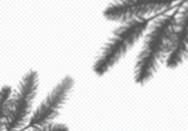 クリスマスツリーの枝の透明なベクトルの影 コラージュとモックアップのための装飾的なデザイン要素 モックアップ ポスター 新年の挨拶カードのための創造的なオーバーレイ効果 — ストックベクタ