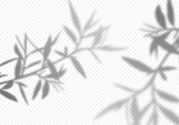 Векторные прозрачные тени оливковых листьев. Элементы декоративного дизайна для коллажей. Эффект креативного наложения для макетов — стоковый вектор