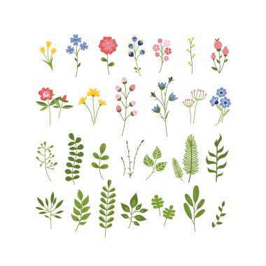 Çiçek elle çizilmiş sulak koleksiyonu
