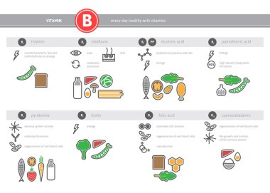 Tıbbi B vitamini kaynak infographics. 