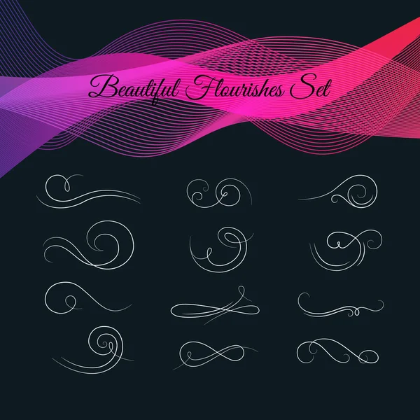 Set of Beautiful Calligraphic Flourishes — Stok Vektör