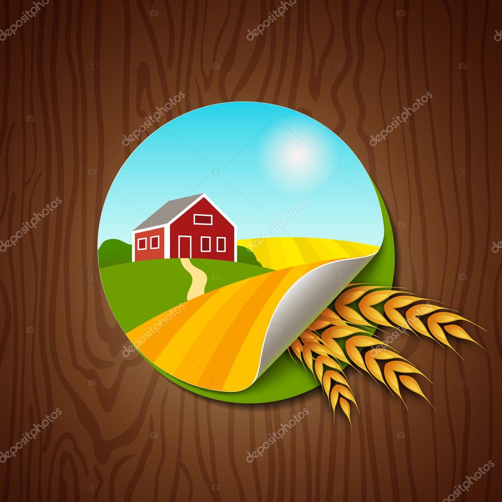 Circle Label with Yellow and Green Fields, Farmhouse and Wheat Ears on Wood Background. Farming Harvest Illustration. Colorful Sticker for Packaging, Logo and Web Design
