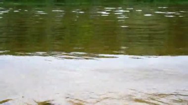 Bir yaz günü. Nehirde dalgalar. Sahil.