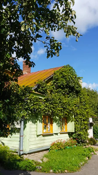 Güneşli bir yaz günü. Ağaçların arasında bir kır evi var. Üzümlerle kaplanmış..