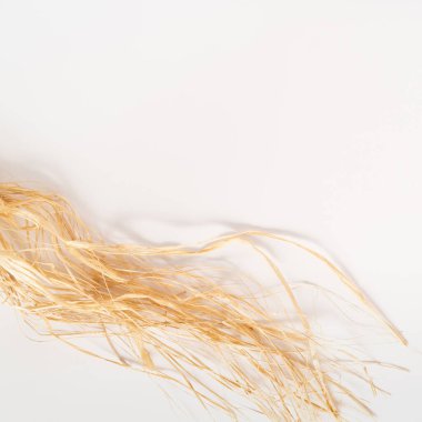 Beyaz arka planda doğal rafya lifleri. Fotokopi alanı olan düz bir yer. Asgari konsept.