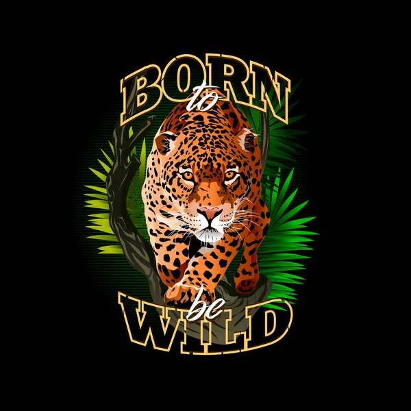 Jaguár Képe Dzsungelben Bámulatos Leopárd Vadnak Születtem Illusztráció Sok Szín — Stock Vector