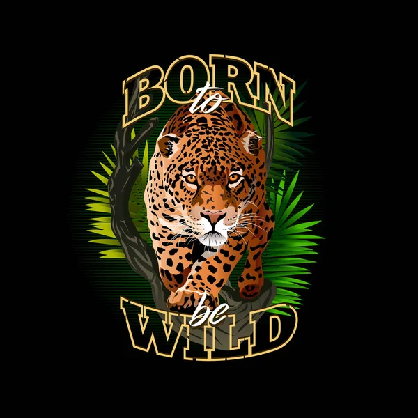 Ormandaki Jaguar 'ın resmi. Vahşi bakışlı leopar. Vahşi olmak için doğmuşum. Birçok rengin tasviri. Ormandaki çita