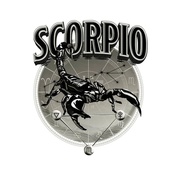 Vettore Astrologico Disegnato Mano Romantica Bella Arte Linea Scorpione Zodiacale — Vettoriale Stock