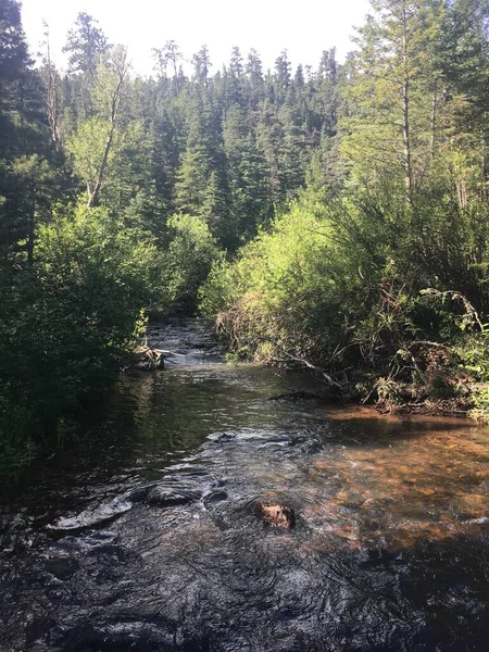 2019 yazında Philmont Scout Çiftliği 'nde New Mexico' da bir derenin fotoğrafı.