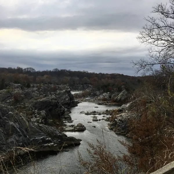 Potomac Folyó Től Északkeletre Great Falls Nemzeti Parkban Ősszel — Stock Fotó