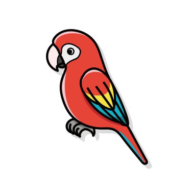 papağan doodle