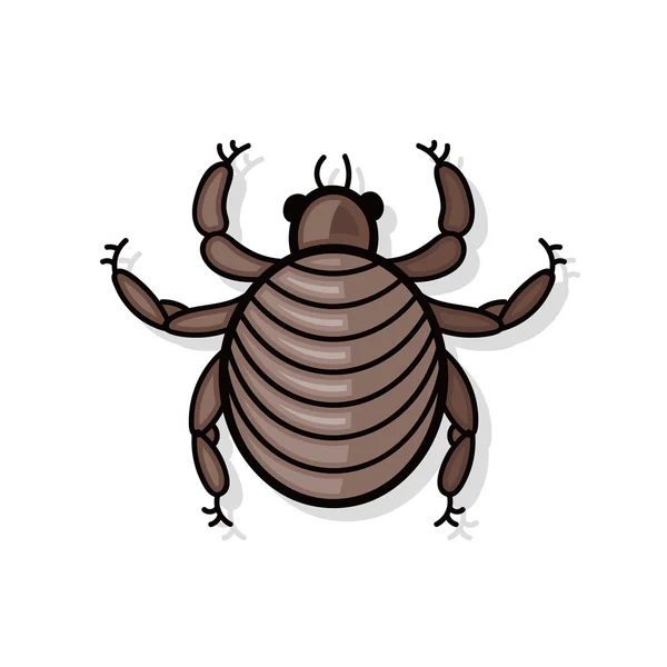 Bug doodle — Stock Vector