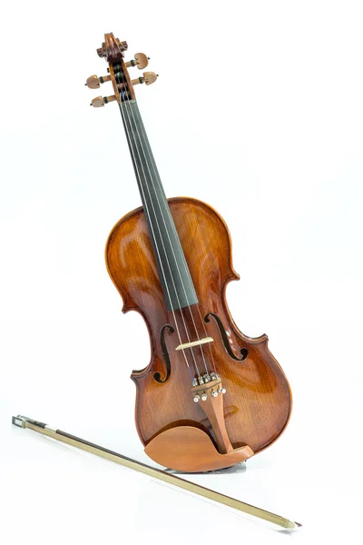 Violin och rosett — Stockfoto