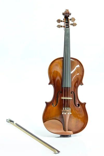 Violin och rosett — Stockfoto