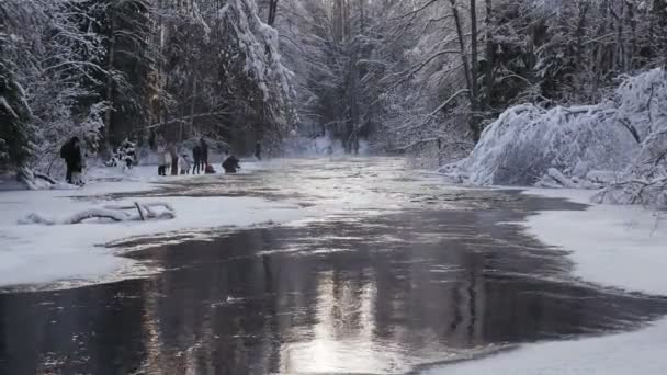 Naturalny zimowy krajobraz, zamarznięty las i rzeka górska — Wideo stockowe