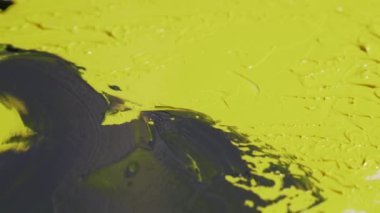 2021 yılının renkleri aydınlatıcı ve gri. Sarı ve nihai