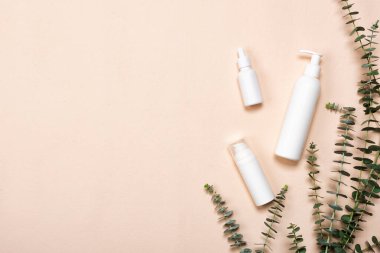 Doğal okaliptüs yapraklı bir şişe özü ya da serum.