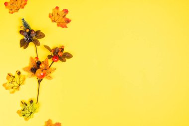 Sonbahar kompozisyonu ve sonbahar yaprakları üst düzey sarı arka grubunda