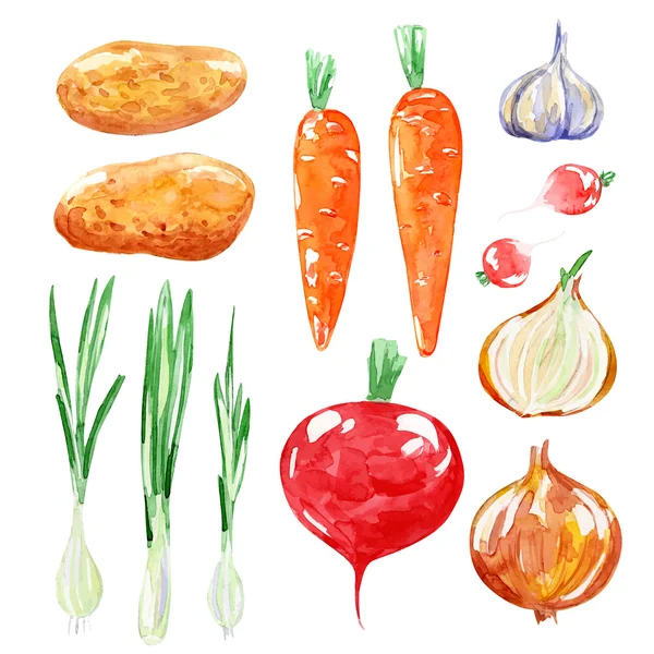 Set of vegetarian food — Stock Illustration Set of vegetarian food Royalty Free Stock Vectors